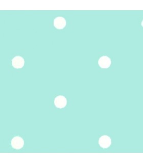 Coconet 565-4