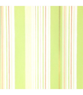 Coconet 564-3