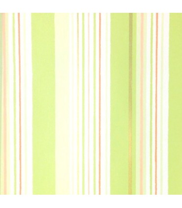 Coconet 564-3