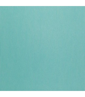 Coconet 568-2