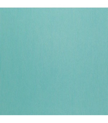 Coconet 568-2