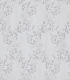 Cloe 92202