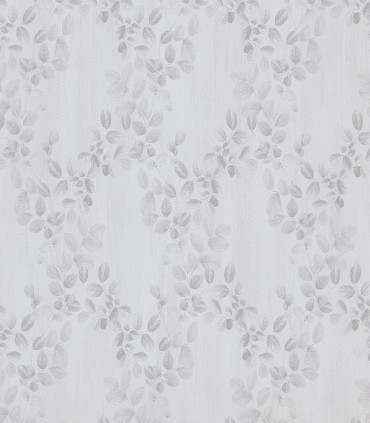 Cloe 92202