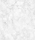 Horizons E855-49