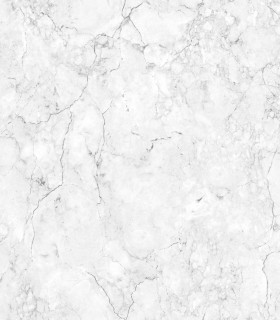 Horizons E855-49