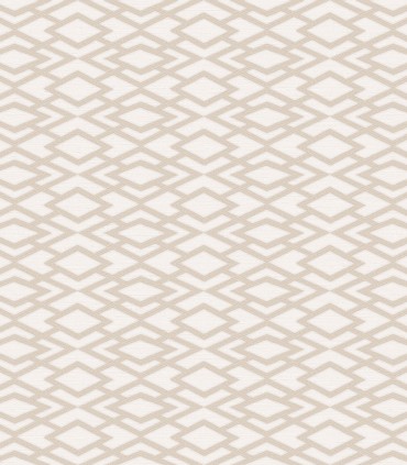 Geometric Silk 22831
