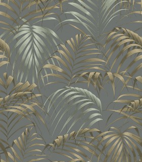 Fern 22864