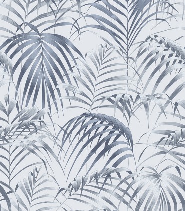 Fern 22863
