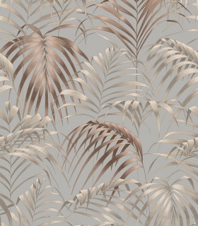 Fern 22862