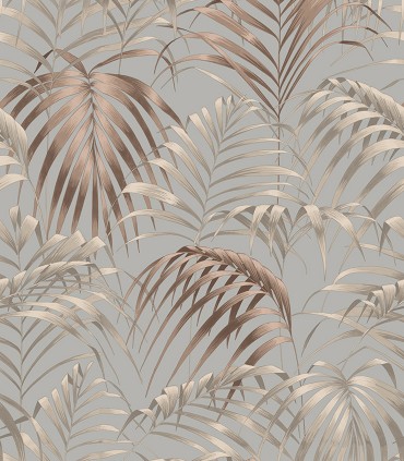 Fern 22862