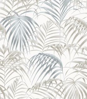 Fern 22861