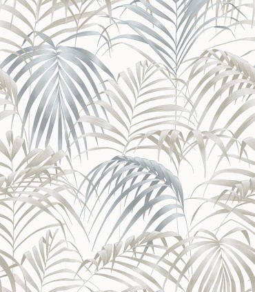 Fern 22861