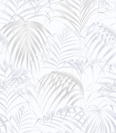 Fern 22860