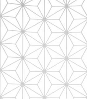 Momentum 301-01