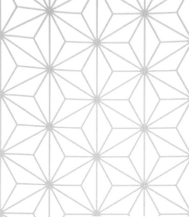 Momentum 301-01