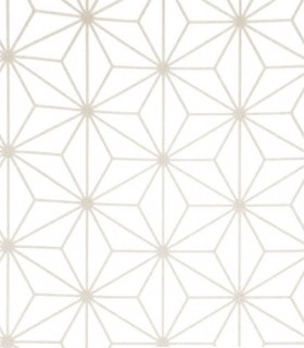 Momentum 301-02