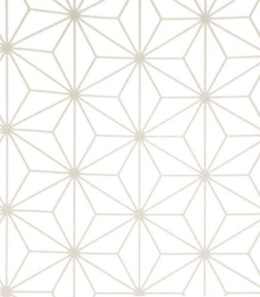 Momentum 301-02