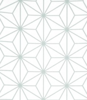 Momentum 301-05