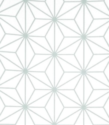 Momentum 301-05