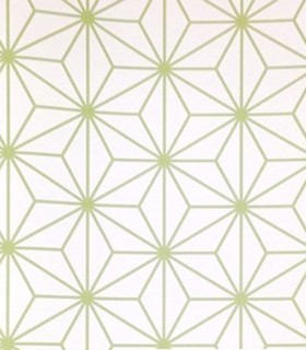 Momentum 301-06