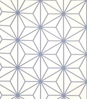 Momentum 301-08