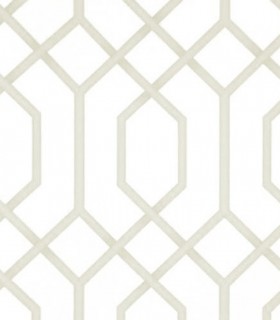 Momentum 302-02