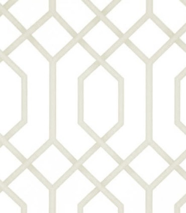 Momentum 302-02