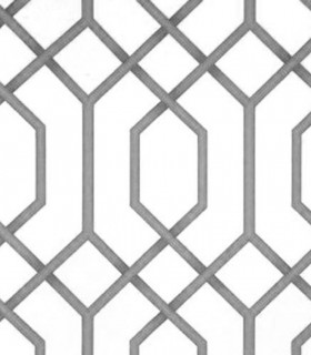Momentum 302-03