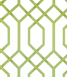 Momentum 302-04