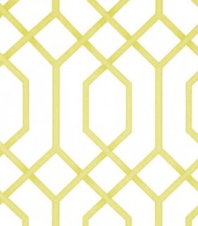 Momentum 302-05