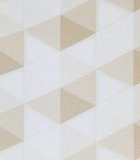 Momentum 305-02