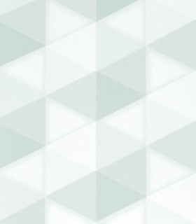 Momentum 305-04