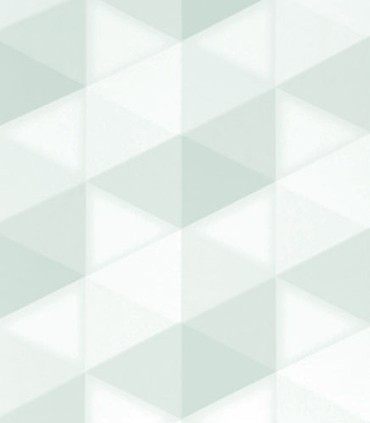 Momentum 305-04
