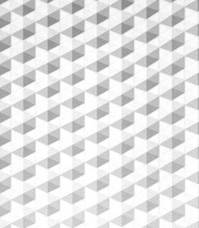 Momentum 306-01