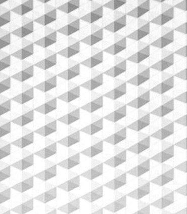 Momentum 306-01