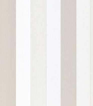 Momentum 308-02