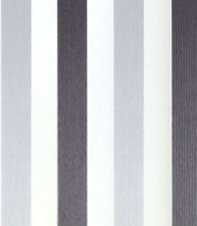 Momentum 308-03