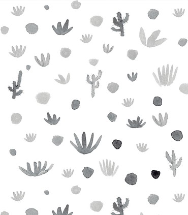 Pint cactus gris 35010