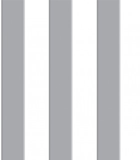 Pint raya gris  35040