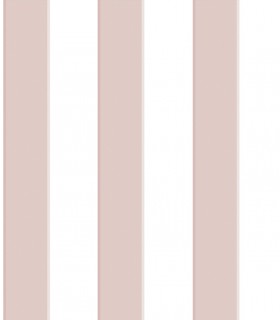 Pint raya rosa 35041