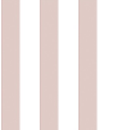 Pint raya rosa 35041