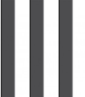Pint raya negro 35046