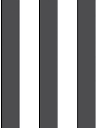 Pint raya negro 35046