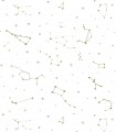 Pint constelaciones mostaza 35091