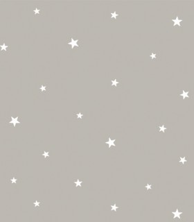 Pint estrellas topo 35112