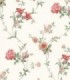 Bloom 53508