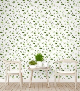 Bloom 52903