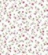 Bloom 52805
