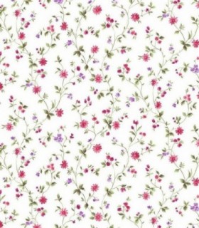 Bloom 52805