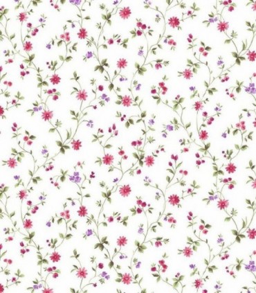 Bloom 52805